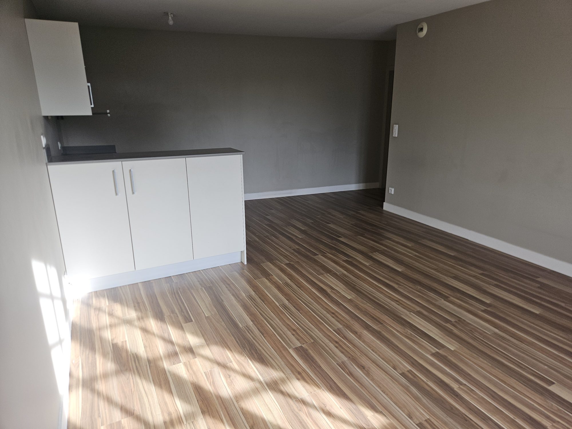 APPARTEMENT T2 VIAGER LIBRE BAYONNE