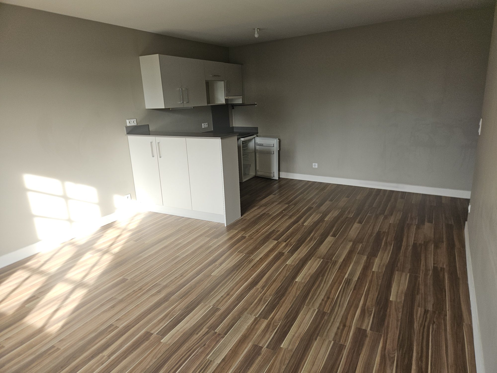 APPARTEMENT T2 VIAGER LIBRE BAYONNE