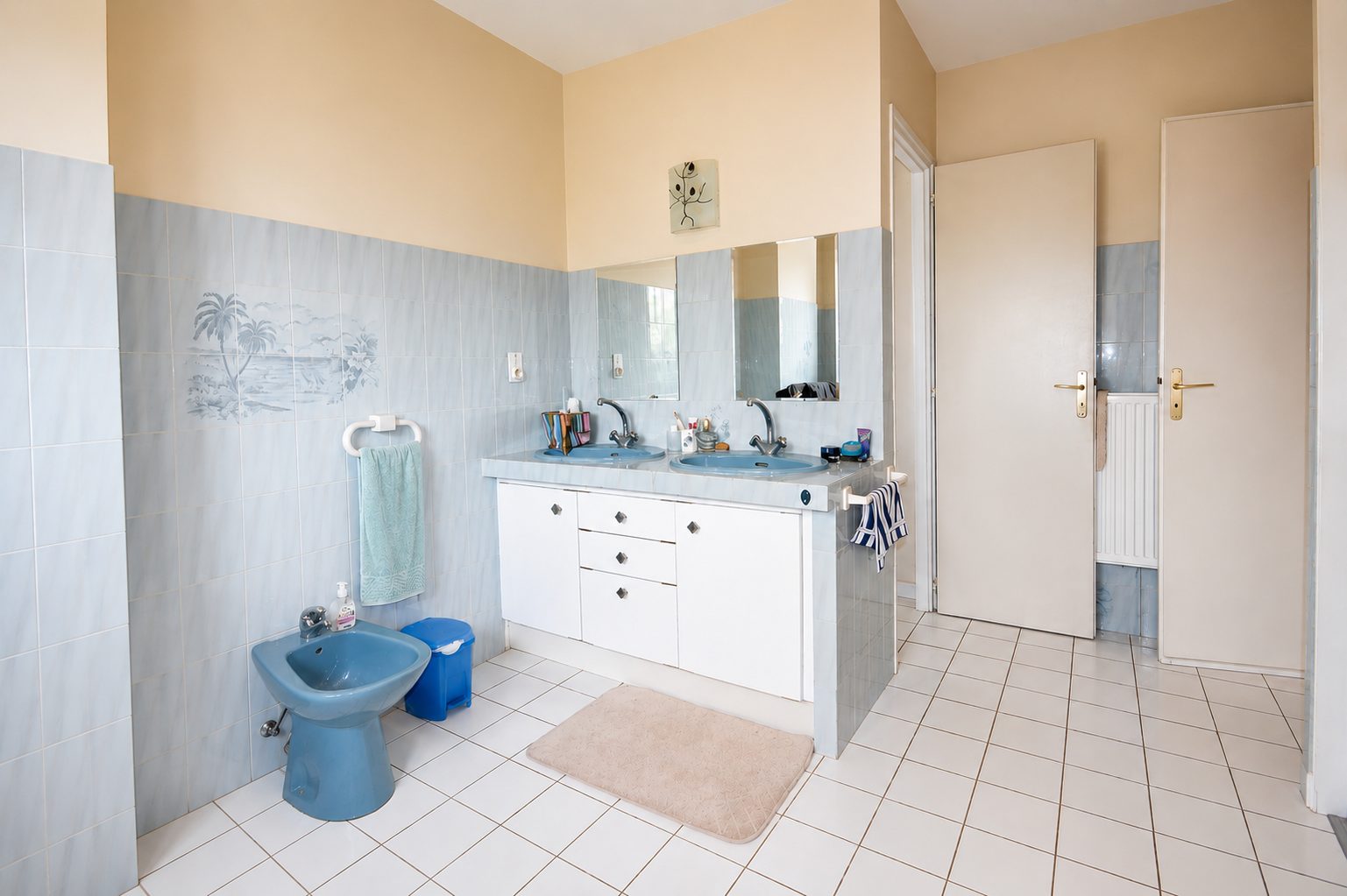 MAISON T5 HAGETMAU VIAGER OCCUPE